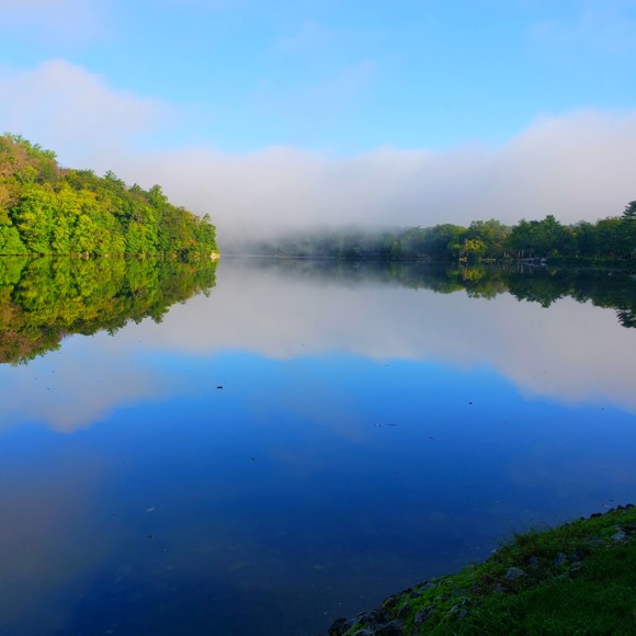bettinapeets